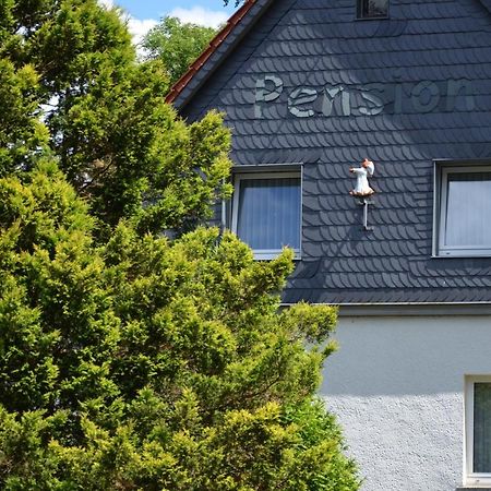 Pension Landhaus Machold Фридрихрода Екстериор снимка