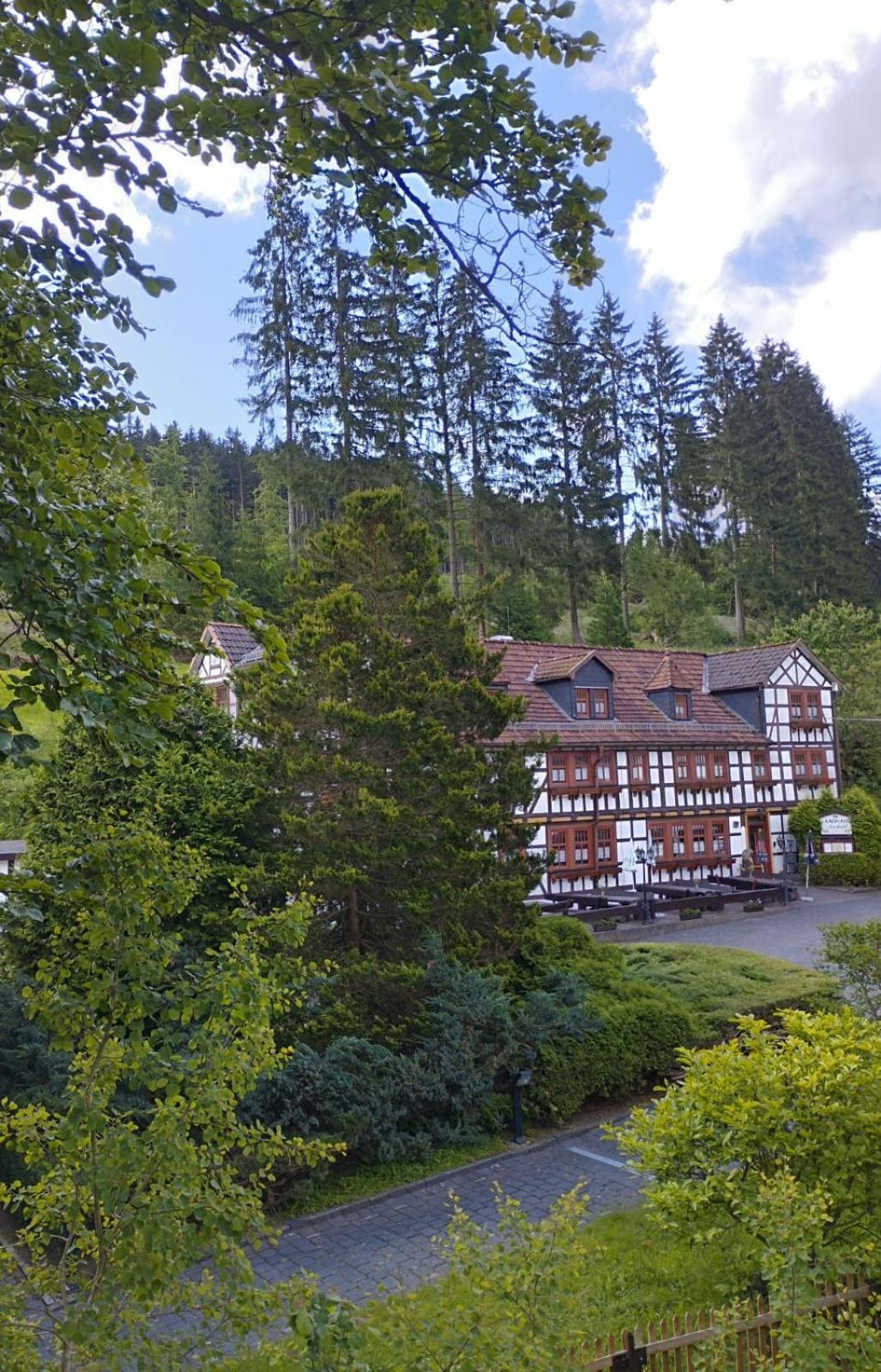 Pension Landhaus Machold Фридрихрода Екстериор снимка
