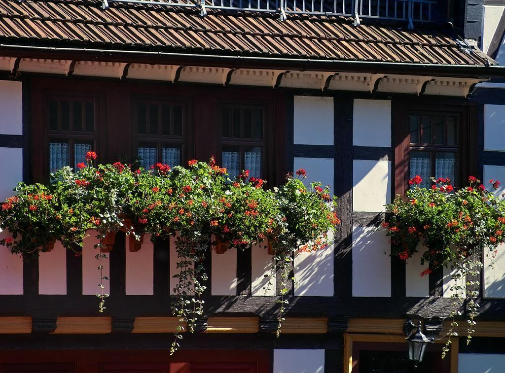 Pension Landhaus Machold Фридрихрода Екстериор снимка